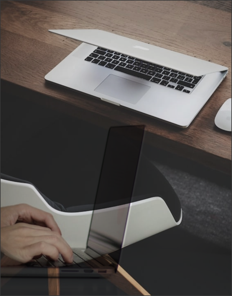 Working Experience